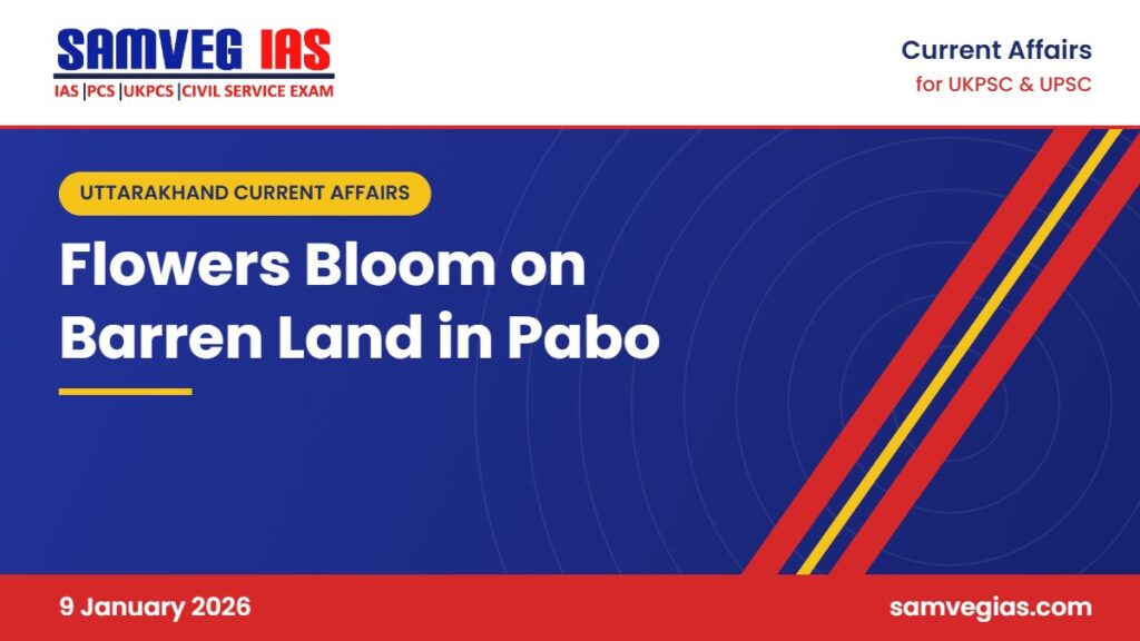 Pabo Floriculture: Chrysanthemum and Gladiolus Bloom Under Collective Farming